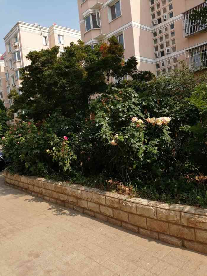 馥郁苑-"馥郁园小区在怀柔妇幼保健院附近,周围都是."-大众点评移动版