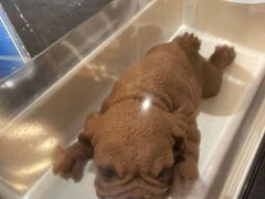 -牛角村(大族广场店)