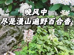 -武当山风景区