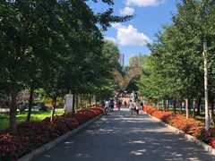 -长白岛森林公园