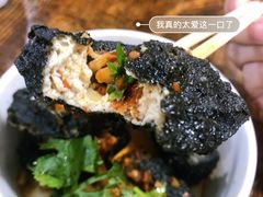 -黑色经典臭豆腐·湖南特产(步行街店)