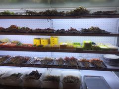 自助取餐区-镇江龙·火锅串串(武侯祠店)