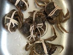 -喜洋洋蟹庄(阳澄湖店)