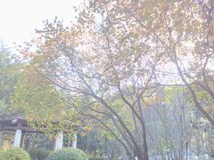 -中国人民解放军海军第九七一医院