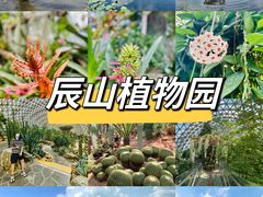 -上海辰山植物园
