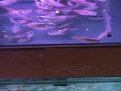 -华声天桥民俗文化园