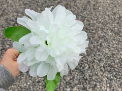 -侵华日军南京大屠杀遇难同胞纪念馆