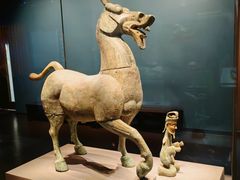 -广西壮族自治区博物馆