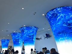-深海中餐厅(国家海洋博物馆店)