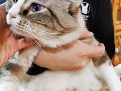 -白兔子密室(长寿路店)