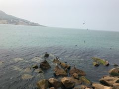 -海驴岛(荣成市)