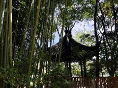-龙华寺