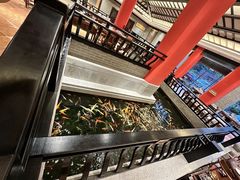 -龙悦湾酒家·八阵鱼生·渔人码头店