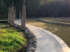 -昆山城市生态森林公园