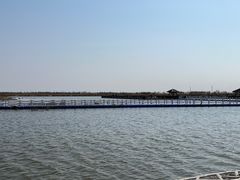 -南大港湿地风景区