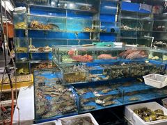 -岳各庄批发市场(西四环中路店)