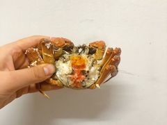 -七的湖·晚芳亭·阳澄湖农家菜·大闸蟹(莲花岛店)