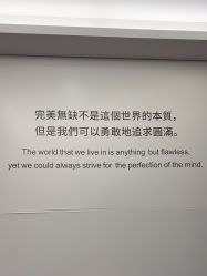 -金夫人婚纱摄影(总店)