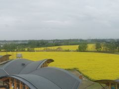 -中国天府农业博览园