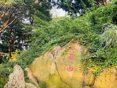 -青岛海滨风景区小鱼山