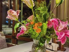 -一棵树·意大利西餐厅One Tree(新城店)