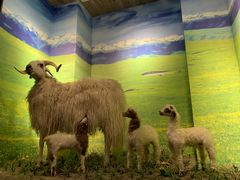 -清真·益鑫羊肉手抓馆(花园北街店)