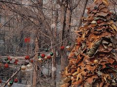 -腾爱熊猫咖啡生活馆(老东门店)