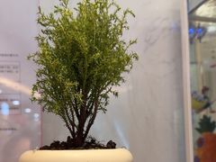 -海底捞大排档火锅(悦荟广场店)