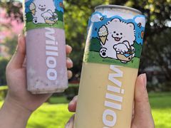 -新加坡斯味洛·鲜奶茶(石牌东店)