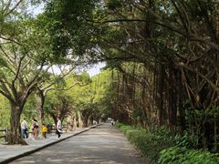 -大湾区中央湿地公园