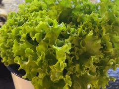 -老姐石板烧烤+铜炭火锅(总店)