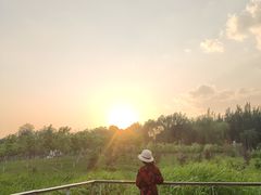 -丁香湖公园