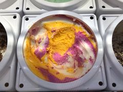 彩虹雪露-芭斯罗缤31冰淇淋(BHG MALL上地店)