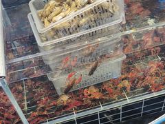 -山东地摊(平阴店)