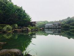 -白马涧龙池景区