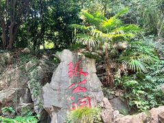 -宜兴张公洞