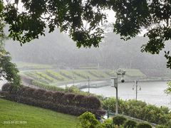 -东莞植物园