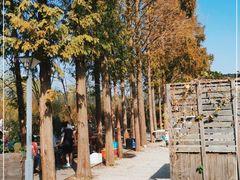 -前小桔亲子创意农场·草莓采摘·露营烧烤