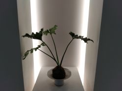 -颜蕾医美·黄金微针·水光·玻尿酸·超声炮·抗衰中心