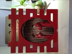 -麦莎MA3A摄影工作室(美兰金邸店)