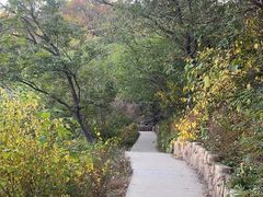 -北京西山国家森林公园