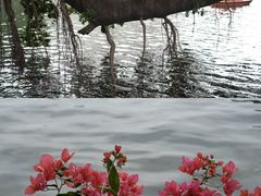 -荔湾湖公园