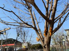 -钰田大院·碳烤虹鳟鱼·怀柔地道农家菜(雁栖湖店)