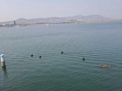 -南京金牛湖风景区