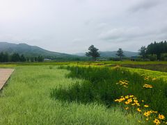 -塞罕坝国家级自然保护区