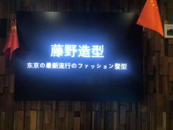 点击看大图 -藤野造型