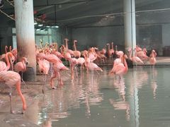 -石家庄市动物园