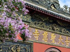 -古大圣慈寺