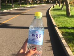 -钓鱼台国宾馆