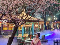 -白家大院·王府宫廷菜(苏州街店)